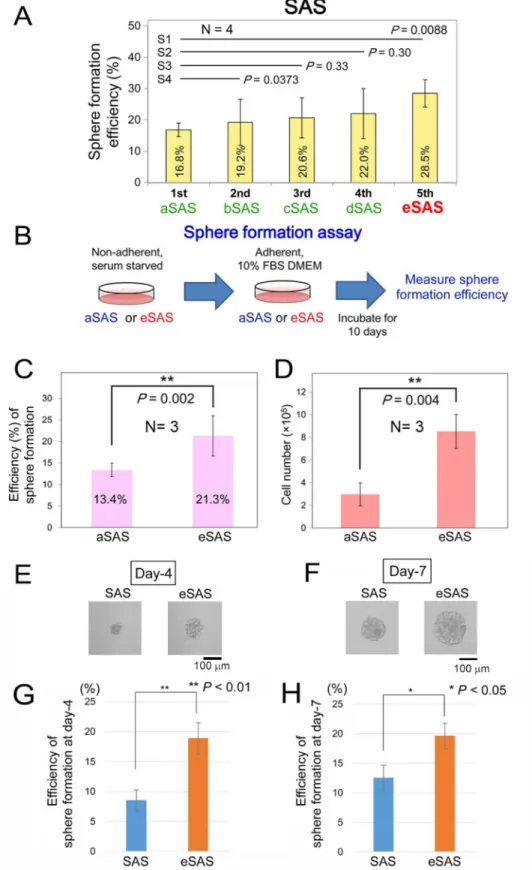 Figure 2: Selection of aSAS ~ eSAS cell lines using Spheroid Catch.  (A) Bar graphs indicate the spheroid formation efficiencies  measured in SFM using SFPs for aSAS, bSAS, cSAS, dSAS and eSAS cells after the first, second, third, fourth and fifth selectio