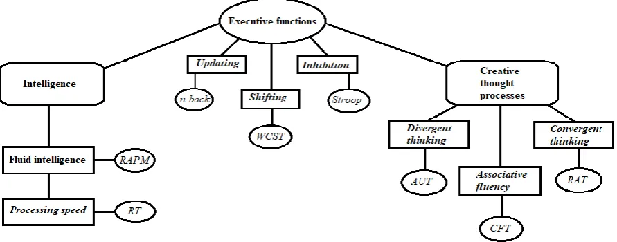 Figure 1. Conceptual model of the theorized relationships between fluid intelligence, executive functions, and creative thought processes as based on literature