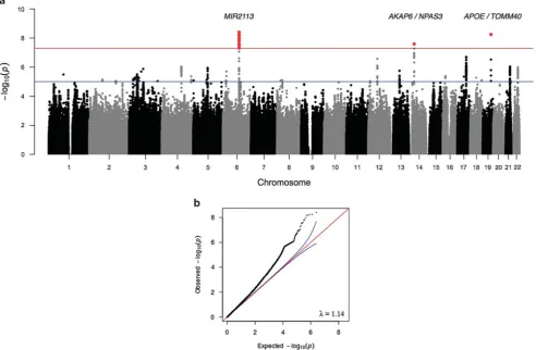 Figure 1.Manhattan (cognitive function in the meta-analysis. The threshold for genome-wide signia) and Q–Q (b) plots of P-values of the association between single-nucleotide polymorphisms (SNPs) and generalﬁcance (Po5 × 10 − 8) is indicated by the red line and thethreshold for suggestive signiﬁcance (Po1 × 10 − 5) is indicated by the blue line.