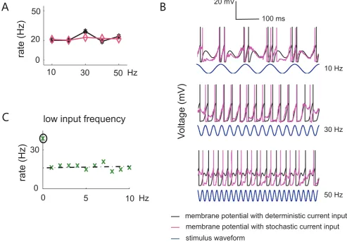 Figure 2. Simulation results for single neurons with flat output firing rates. (aA) Tuning curve of a simulated neuron with parameter values: = 20.5, c = 20 ms, and tref = 5 ms, with (pink) or without (black) noise
