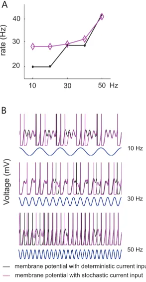 Figure 4. Simulation of a neuron with increasing output firing rate, when an additional subthreshold intrinsic oscillation (vkrises as input frequency increases