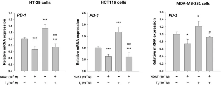 Figure 1: T 4  induces PD-1 mRMA expression in human colon cancer (HT-29, HCT116 and breast cancer (MDA- (MDA-MB-231) cells in vitro