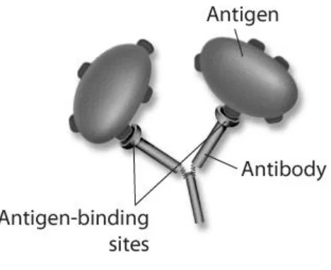 Figure 35–4  