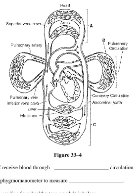 Figure 33–4  