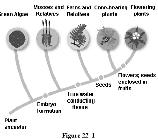 Figure 22–1 