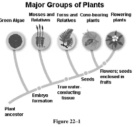 Figure 22–1 