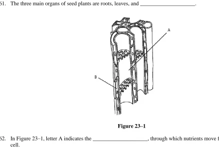 Figure 23–1  