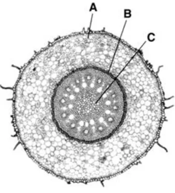Figure 23–5  