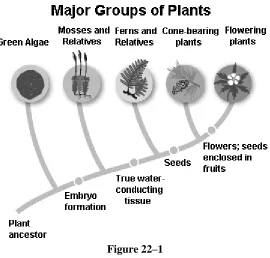 Figure 22–1 