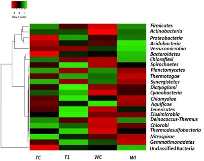 Figure 4. Figure 4. Figure 4.Taxonomic classification of the bacterial distribution at phylum level from the forest samples