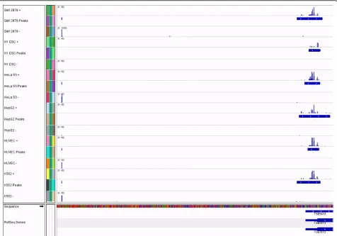 Figure 2 Peaks found by the algorithm in six cell lines. CAGE-seq strand-specific read coverage is shown along with tracks that containboxes representing the areas that are found to be peaks