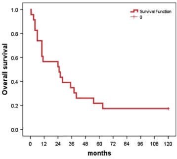 Figure 1 Kaplan-Meier survival curve.