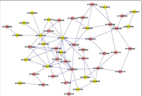 Figure 8 Extracted subgraph indicating potential module of interest in the bigger dataset - Set 1