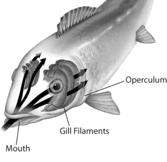 Figure 27–5 