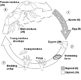 Figure 28–7  