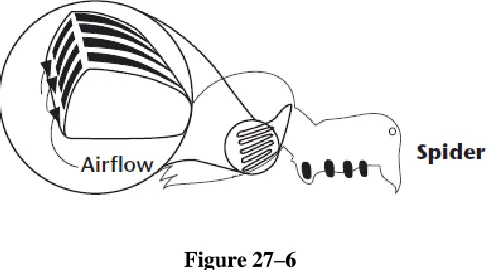 Figure 27–6  
