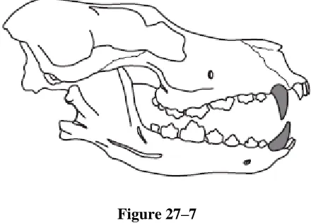 Figure 27–7 