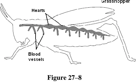 Figure 27–8  