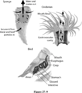 Figure 27–9  