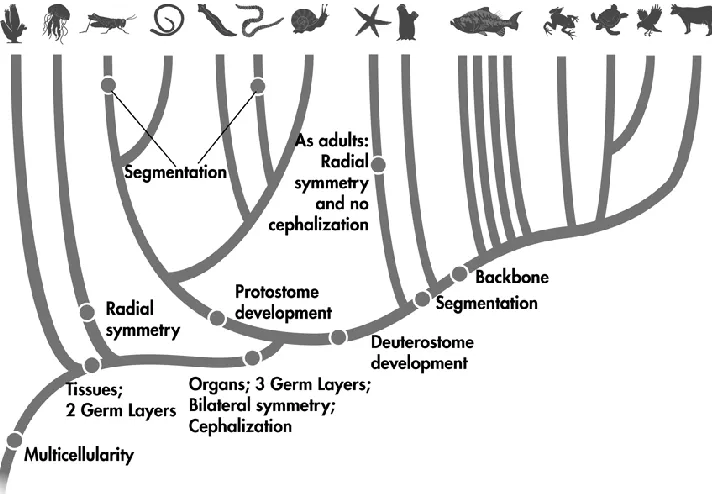 Figure 25–11  