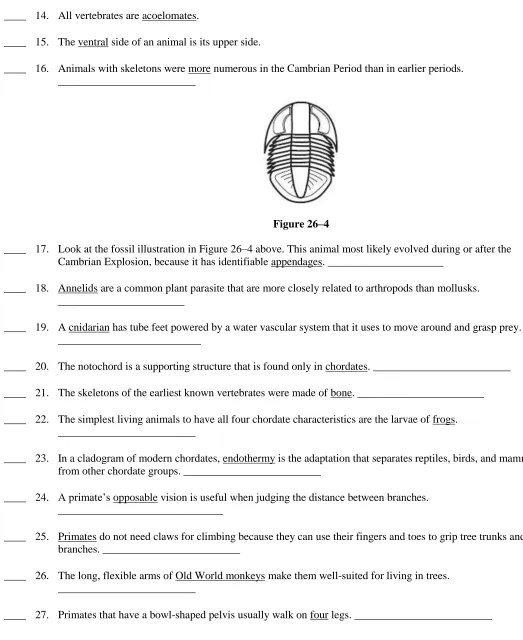 Figure 26–4 