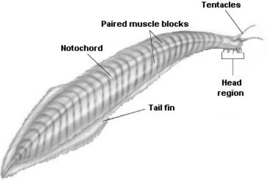 Figure 26–6  