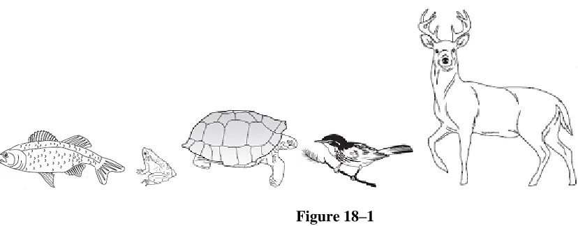 Figure 18–2  