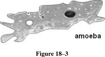 Figure 18–3 