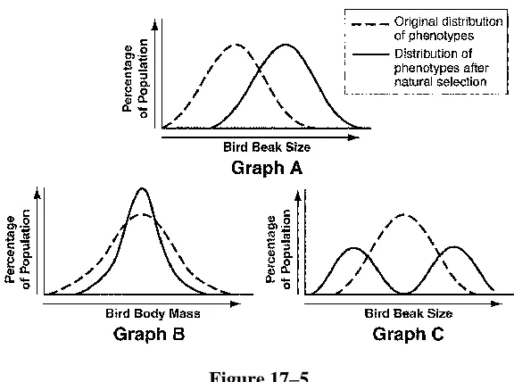 Figure 17–6  