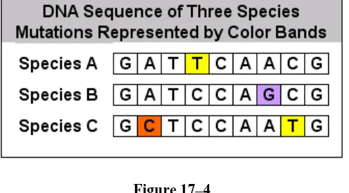 Figure 17–4  