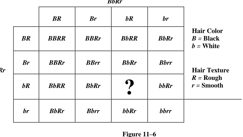 Figure 11–6  