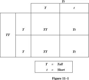 Figure 11–1  