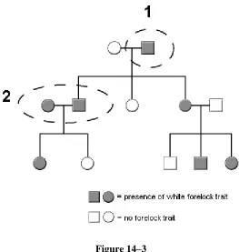 Figure 14–3  