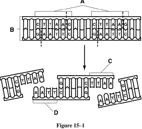 Figure 15–1  
