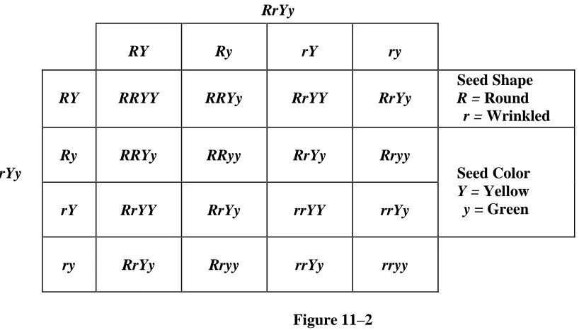 Figure 11–2  