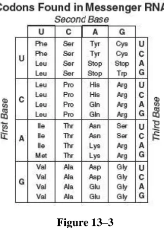 Figure 13–3 