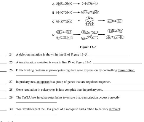 Figure 13–5  