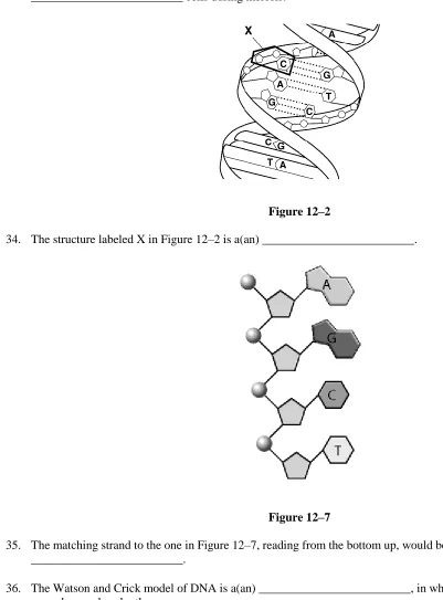 Figure 12–2  