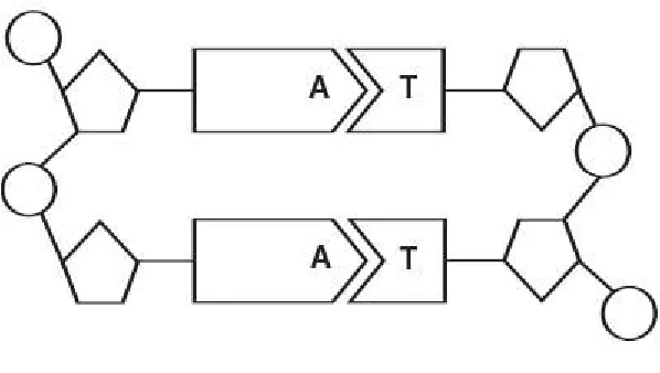 Figure 12–9  