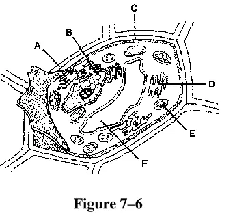 Figure 7–6  