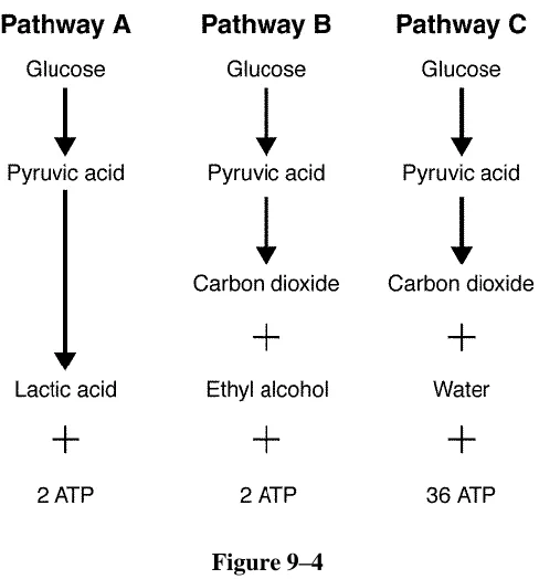 Figure 9–4  