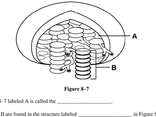 Figure 8–7  