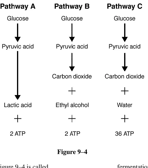 Figure 9–4  