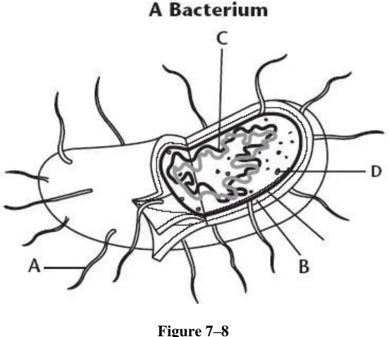 Figure 7–8  