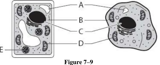 Figure 7–7  