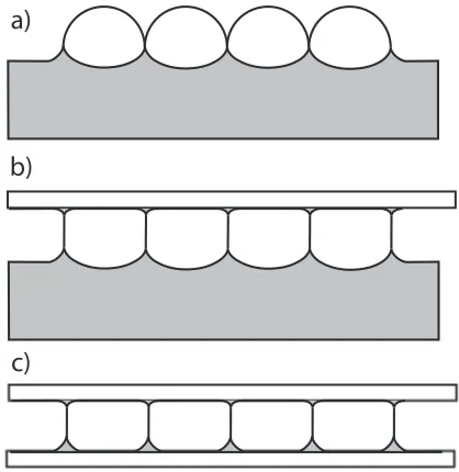 Figure 2. Three types of 2D foams:air/liquid interface (Bragg raft);(c) (a) monolayer of air bubbles sitting at an (b) bubbles ﬂoating in liquid under a glass plate; bubbles conﬁned between two glass plates