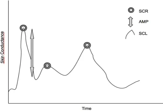 Figure 1. Example for Electrodermal Activity  
