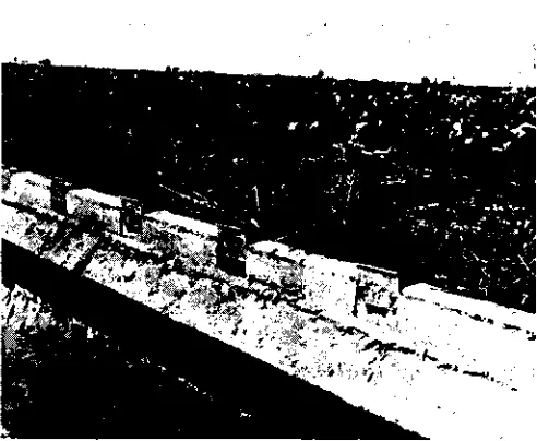 Fig. 3 Adjustable plastic furrow tubes
