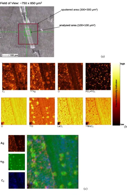 Fig. 6 Field of View: ~750 x 850 µmField of View: ~750 x 850 µmField of View: ~750 x 850 µm222