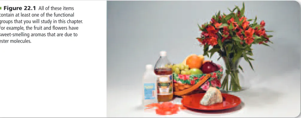 Figure 22.1 contain functional groups that give them their individual characteristics, such as smell